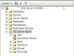 How To Start Sql Server Agent When Agent Xps Show Disabled Sql Server Sql Database Security