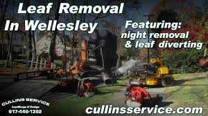 Leaf Removal Service Fall Cleanup Wellesley Ma Cullins Service Cullins Service Landscaping Maintenance And Design Services Fall Clean Up Landscape Wellesley