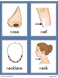 Learn the letter n with pictures and words/ learn the phonics sound. Letter N Words And Pictures Printable Cards Nose Nail Necklace Neck Color Preschool Alphabet Printables Alphabet Word Wall Cards Vocabulary Picture Cards