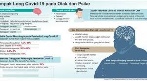 Sebanyak 80 persen informasi yang masuk ke otak melalui mata. Mewaspadai Dampak Long Covid Pada Otak Info Sehat Fkui