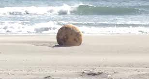 Mystery Sphere Washes up on a Beach in Japan — Curiosmos