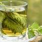 Native Plant Tea Party