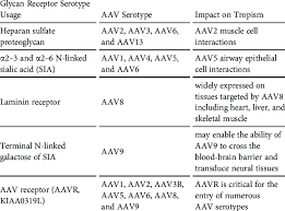 Image result for Black 1998 AAV