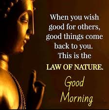 Good morning quotes can be great for wishing someone in the morning. Pin On Good Morning