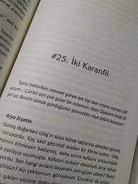 ates filizpuluc kitap alintilari kitap fotografciligi guzel soz