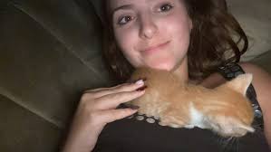 Fundraiser by Emily Fransen : give this angel a chance to a safe home