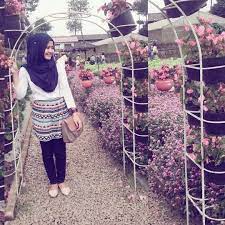 Begonia Garden Flower Bandung