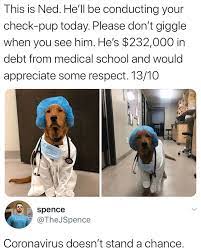He Can Be My Dr Anytime Funny Memes Cute Animals Really Funny Memes