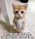 Animal Qoutes