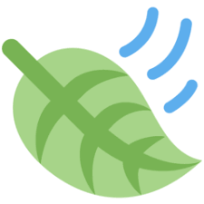 We did not find results for: Arti Emoji Daun Tertiup Angin Leaf Fluttering In Wind Emojipedia