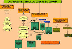 Regiones Biogeograficas Espanolas Geografia Geografia E Historia Mapas Mentales