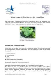 Mitarbeit bei der anzucht und dauerpflege von pflanzen, beteiligung an. Selbstreinigende Oberfla Chen Der Lotus Effekt Universita T Konstanz