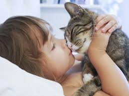 | my pet needs that. The Power Of Cats With Autistic Children The Purrington Post