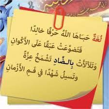 إن اللغة العربية من الدين، ومعرفتها فرضٌ واجبٌ. Ø§Ù„Ù„ØºØ© Ø§Ù„Ø¹Ø±Ø¨ÙŠØ© Ù…Ù† Ø£Ø¬Ù…Ù„ Ù…Ø§ Ù‚ÙŠÙ„ ÙÙŠ Ù…Ø¯Ø­ Ø§Ù„Ù†Ø­Ùˆ ÙˆØ£Ù‡Ù„Ù‡ Ø£Ù†Ø´Ø¯ Facebook