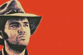 Goldmine's Price Guide To Collectible Record Albums (book, 5th Edition) •  Elvis