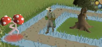 I would like to suggest an option to repair the fairy ring at arceuus library. The Best Spirit Tree Locations In Old School Runescape Fandomspot