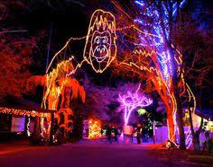 This Holiday Season See Bright Animal Shaped Lights And Thousands Of Dazzling Tree Lights At The Miami Zoo Zoo Lights Places To Go Favorite Places