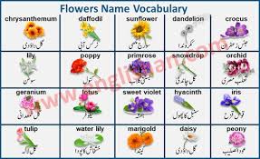 Flowers Name With Images In Urdu To English Pdf In 2020 Flowers Flower Names Vocabulary Flash Cards