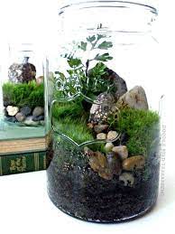 We did not find results for: 27 Garden In A Jar Ideas Terrarium Jar Mini Garden