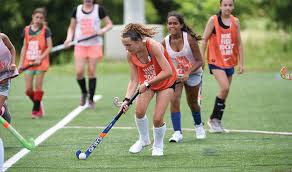 (canada, us) ice hockey, a game on ice in which two teams of six players skate and try to score by shooting a puck into the opposing team's net, using their sticks.· (britain) field hockey, a team sport played on a pitch on solid ground where players have to hit a ball into a net using a hockey stick.· a variation of hockey, such as roller hockey. Parents Guide To Field Hockey Knowing The Positions Field Hockey Tips