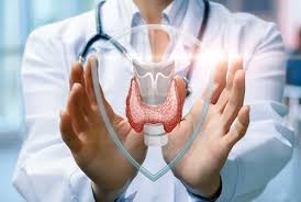 Image result for Calcitonin