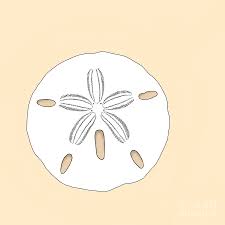 The steel ball is then placed into the influence of the magnets beneath the board. Simple Sand Dollar Digital Art By Walt Foegelle