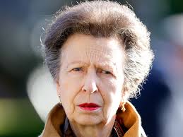 Princess Anne's seven-word shock statement