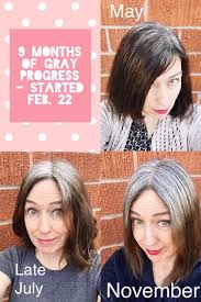 As an 'eff you' to conventional beauty standards, if you will, pinterest searches for 'going grey' have increased a whopping 879. My 9 Month Gray Hair Transition Update Katie Goes Platinum