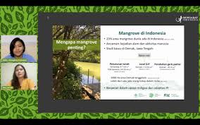 Pertanyaan kritis dari filsafat ketuhanan adalah: Apakah Mangrove Si Penyerap Karbon Bisa Tergantikan Teknologi Mongabay Co Id Mongabay Co Id