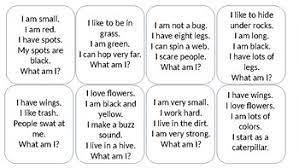 They emerge again in the spring to feed and lay eggs. Bug Trivia Cards By Abby Parks Teachers Pay Teachers