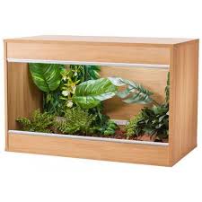 Pin On Products For Reptiles
