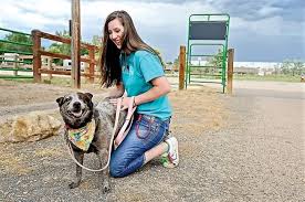 Animal Shelter Volunteer Work For Kids Top Skills To Shine Animal Shelter Volunteer Animal Shelter Volunteer Work