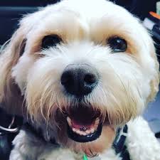 Friendly reminder that today is FRIDAY WHICH MEANS