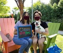 Adoption fees for parrots, large exotic birds, geese, turkeys, chickens, ducks, small and large livestock birds are determined by animal welfare department managers, as are fees for snakes. Where To Adopt A Dog Now In Los Angeles