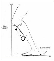 The Lunge Test Forget Ankle Range Think Ankle Stiffness