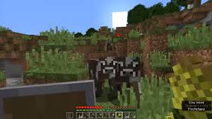 Humans depend on pollinators to help produce food crops. Minecraft For Beginners