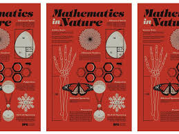Mathematics In Nature Afe Screen Printing Mathematics Screen Printing Machine