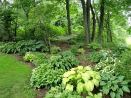 Shade Bed Wooded Backyard Landscape Wooded Landscaping Garden In The Woods