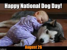 Dogs are more than just man's best friend, they're all of our best friends. National Dog Day Imgflip