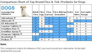 Dog Flea And Tick Products And Comparisons Dog Supplements Flea And Tick Vet Tech School