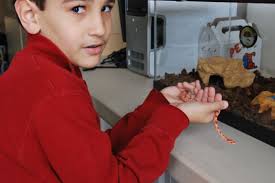 Eastern New Mexico University Employees, Location, Alumni