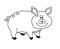 Sorpendentes dibujos faciles para dibujar a color. Cerdito Rosa Dibujo Para Colorear E Imprimir