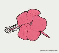 Di sini saya akan memberikan gambar sketsa mewarnai pemandangan, hewan, bunga, rumah, buah dan lain sebagainya. Sketsa Bunga Melati Berwarna Kata Kata