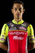 Entre los nombres destacan egan bernal, daniel felipe martínez, iván ramiro sosa y fernando gaviria. Overview Procyclingstats