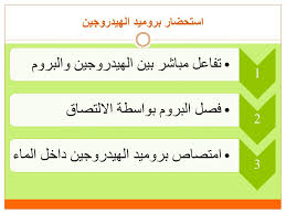 Ppt البروم Powerpoint Presentation Free Download Id 4954393