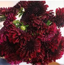 Pin On Wedding Flowers