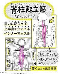 ストレッチ 腰痛 背筋に関連した画像 04 腰痛 改善 ストレッチ 猫のポーズ