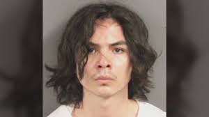 Accused Davis stabber now competent to stand trial, returns to court in new  year