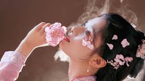 Thành tích và những tranh cãi phim Tích Hoa Chỉ của Trương Tịnh Nghi