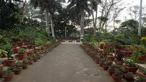 Rika nishimura friends iv rar 41 catheave | mlevalgranlen's ownd. Yukikax Rika Nishimura